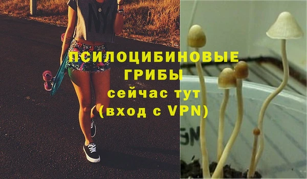 прущий лед Абдулино