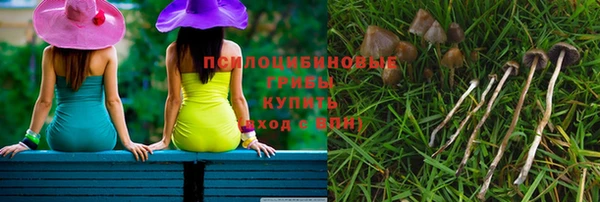 амф Абинск