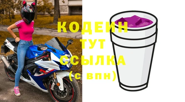 гашик Елизово