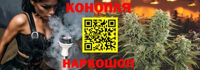 гашик Кандалакша