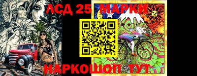 гашик Кандалакша