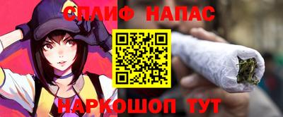 гашик Кандалакша